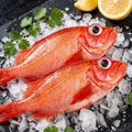 Red Grouper